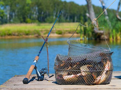 Соревнования по рыбной ловле прошли на Кишемском канале