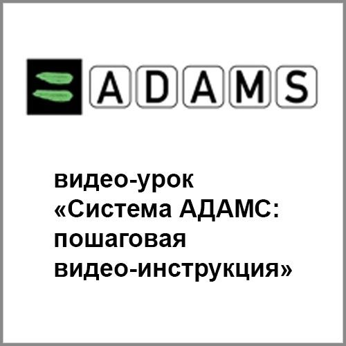 adams-online