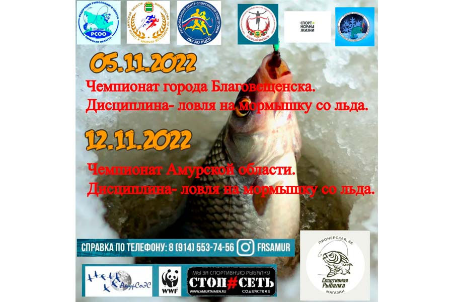 Чемпионат Амурской области по ловле на мормышку со льда 12 ноября 2022 г., Амурская область