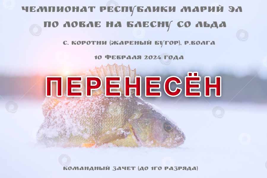 ВНИМАНИЕ! Чемпионат Республики Марий Эл по ловле на блесну со льда переносится