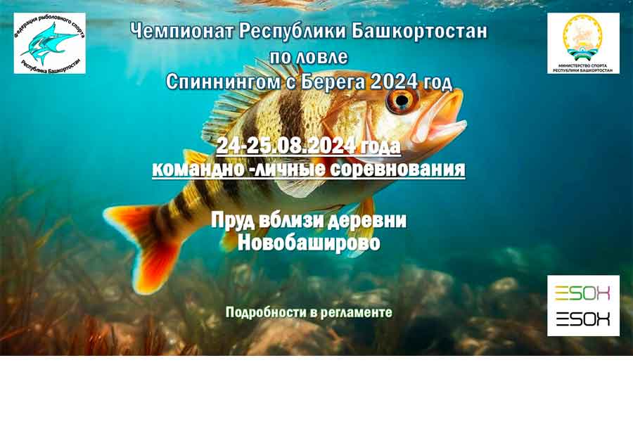 Чемпионат Республики Башкортостан по ловле спиннингом с берега 24-25 августа 2024 г., Республика Башкортостан, Башировский сельсовет, Чекмагушевский район, пруд вблизи деревни Новобаширово