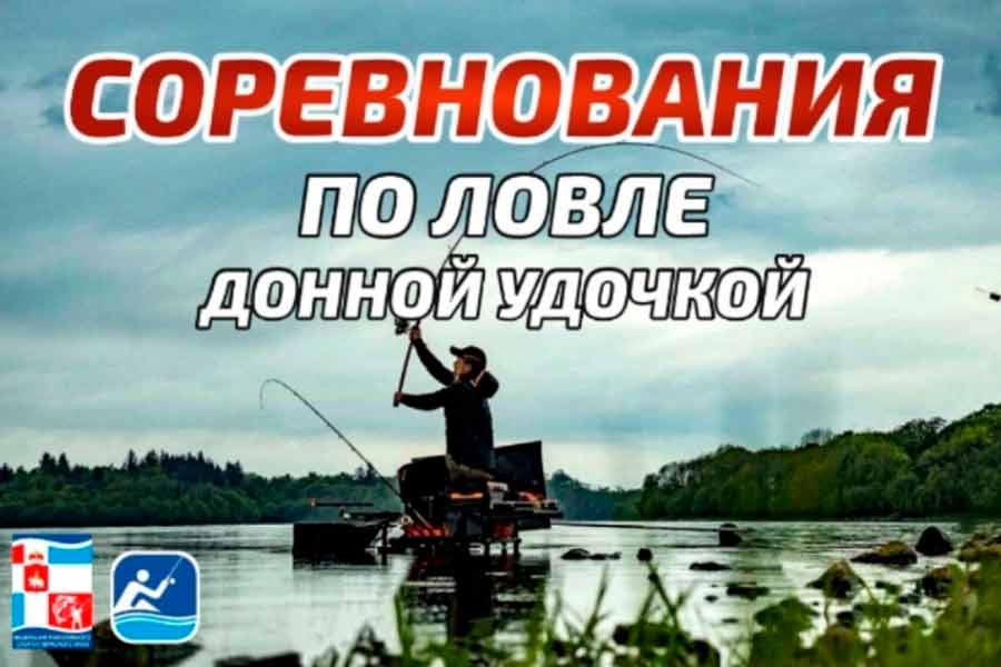 Чемпионат «Закрытие cезона» Пермского края по донной ловле 28 сентября 2024 г., Пермский край, р. Кама