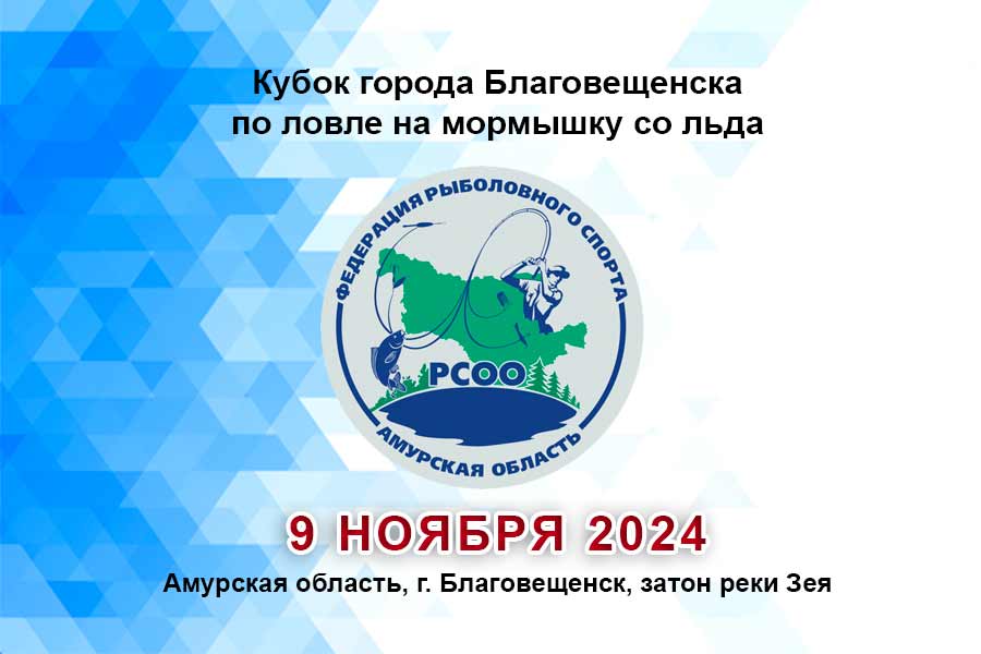 Кубок города Благовещенска по ловле на мормышку со льда 9 ноября 2024 г., Амурская область, г. Благовещенск, затон реки Зея